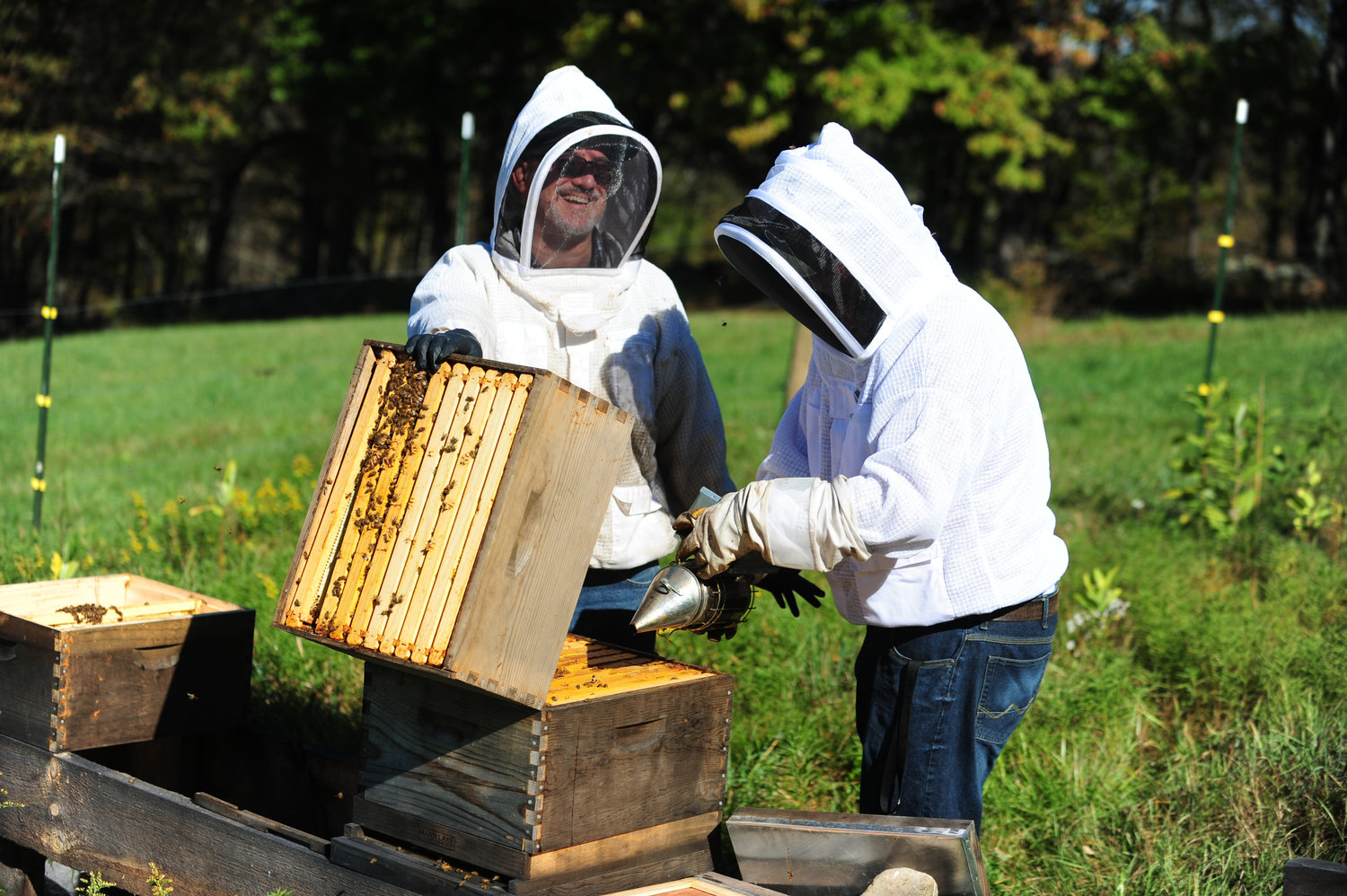 Professor Art Riegal and a SUNY Sullivan student conduct the fall hive inspection.